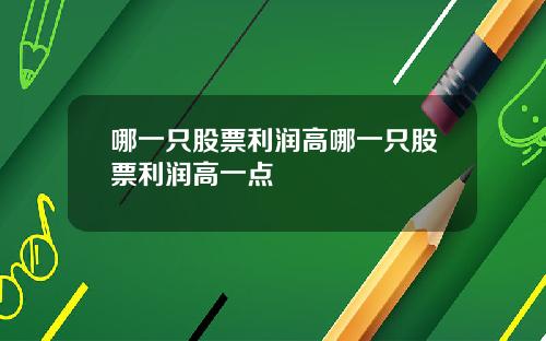 哪一只股票利润高哪一只股票利润高一点