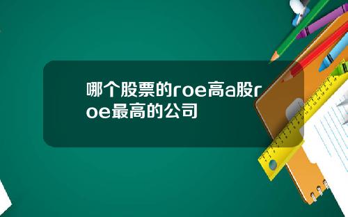 哪个股票的roe高a股roe最高的公司