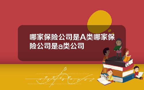 哪家保险公司是A类哪家保险公司是a类公司