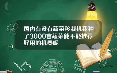 国内有没有蔬菜移栽机我种了3000亩蔬菜能不能推荐好用的机器呢