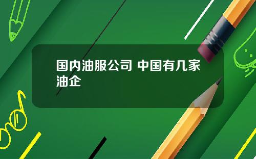国内油服公司 中国有几家油企