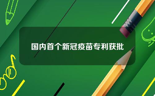 国内首个新冠疫苗专利获批