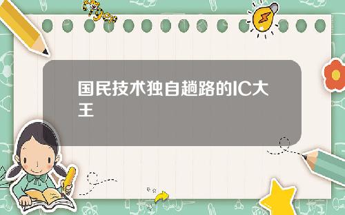 国民技术独自趟路的IC大王