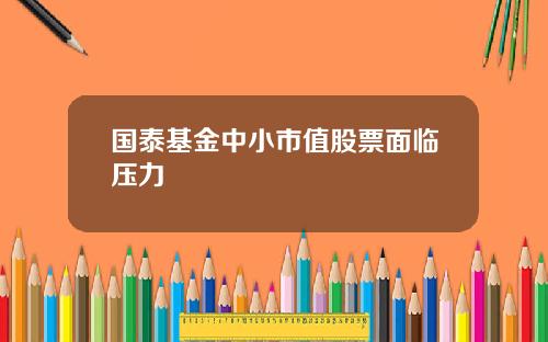 国泰基金中小市值股票面临压力