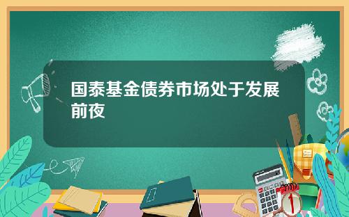 国泰基金债券市场处于发展前夜