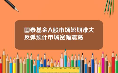 国泰基金A股市场短期难大反弹预计市场宽幅震荡