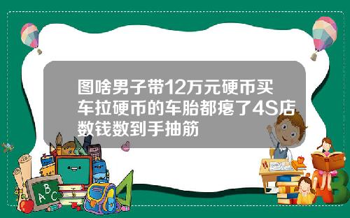 图啥男子带12万元硬币买车拉硬币的车胎都瘪了4S店数钱数到手抽筋
