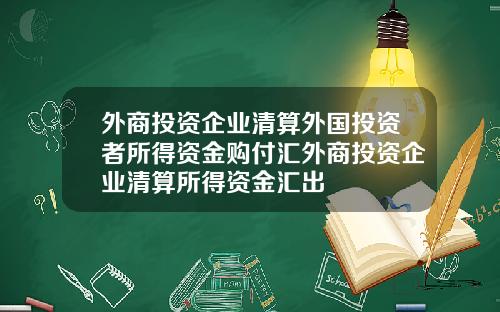 外商投资企业清算外国投资者所得资金购付汇外商投资企业清算所得资金汇出