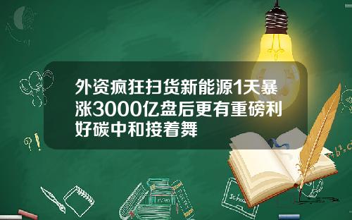 外资疯狂扫货新能源1天暴涨3000亿盘后更有重磅利好碳中和接着舞