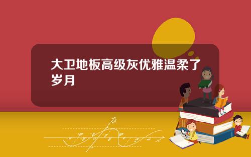 大卫地板高级灰优雅温柔了岁月