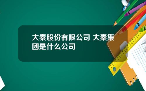 大秦股份有限公司 大秦集团是什么公司