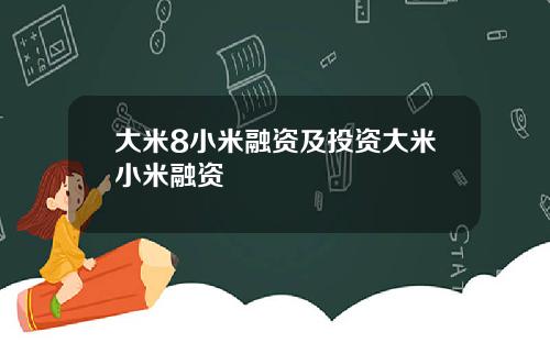 大米8小米融资及投资大米小米融资