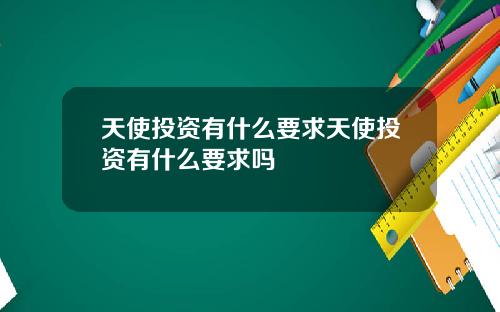 天使投资有什么要求天使投资有什么要求吗