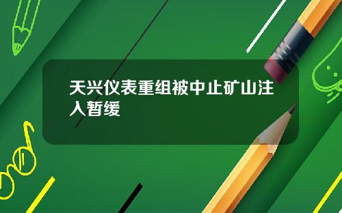 天兴仪表重组被中止矿山注入暂缓
