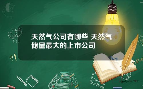 天然气公司有哪些 天然气储量最大的上市公司