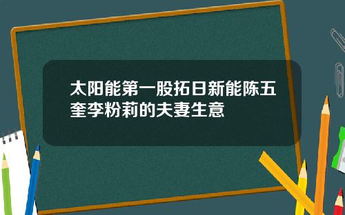 太阳能第一股拓日新能陈五奎李粉莉的夫妻生意
