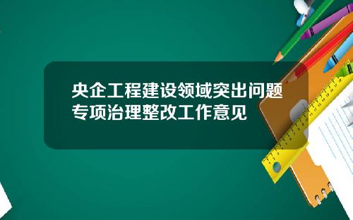 央企工程建设领域突出问题专项治理整改工作意见