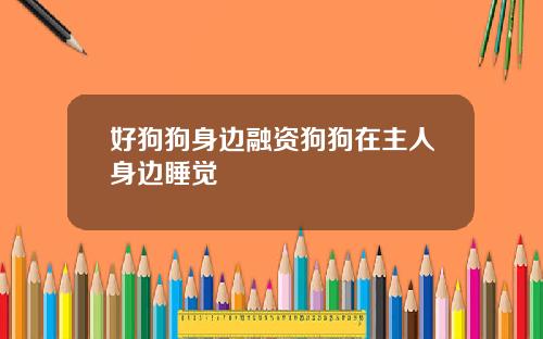 好狗狗身边融资狗狗在主人身边睡觉