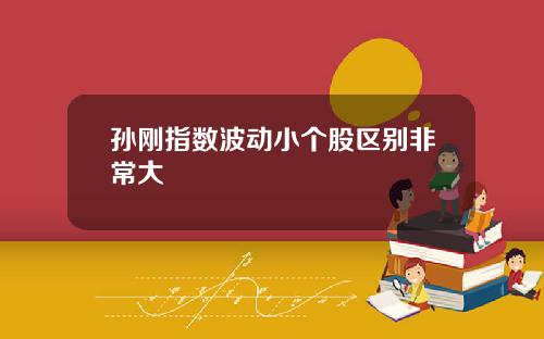 孙刚指数波动小个股区别非常大