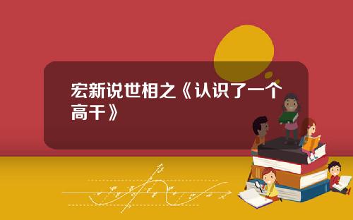宏新说世相之《认识了一个高干》