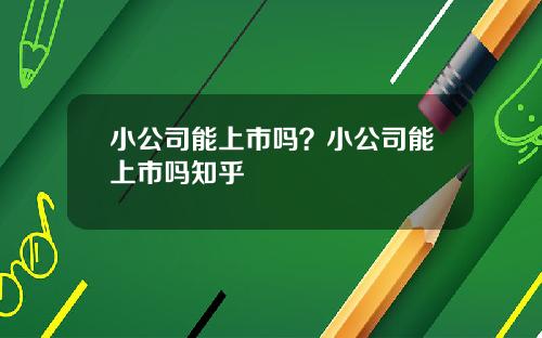 小公司能上市吗?小公司能上市吗知乎