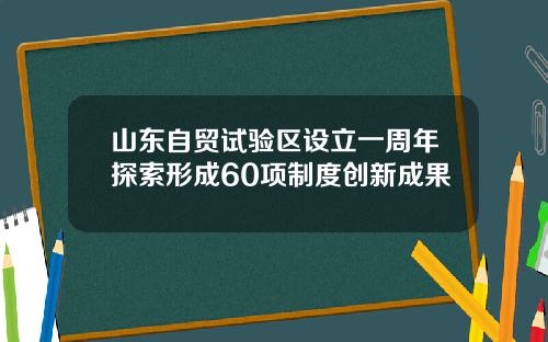 山东自贸试验区设立一周年探索形成60项制度创新成果