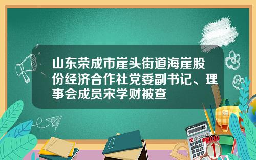 山东荣成市崖头街道海崖股份经济合作社党委副书记、理事会成员宋学财被查