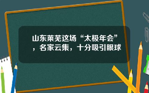 山东莱芜这场“太极年会”,名家云集,十分吸引眼球