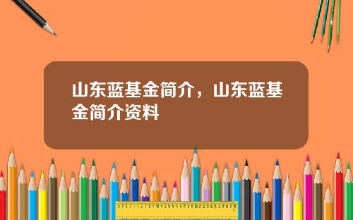 山东蓝基金简介,山东蓝基金简介资料