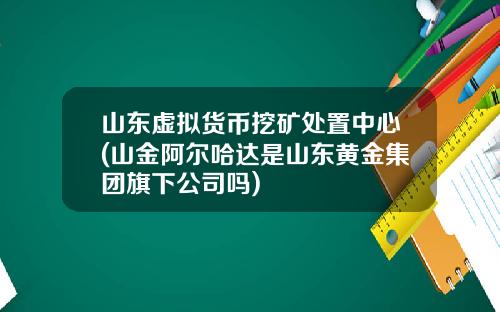 山东虚拟货币挖矿处置中心(山金阿尔哈达是山东黄金集团旗下公司吗)