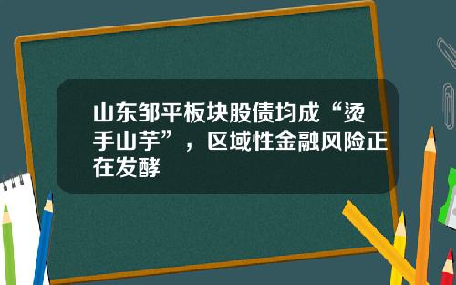 山东邹平板块股债均成“烫手山芋”,区域性金融风险正在发酵