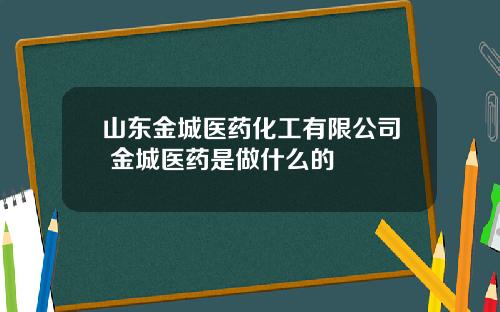 山东金城医药化工有限公司 金城医药是做什么的