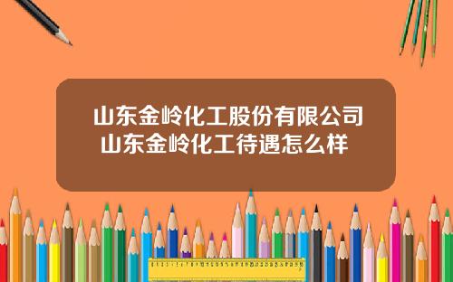 山东金岭化工股份有限公司 山东金岭化工待遇怎么样