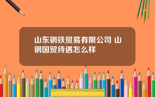 山东钢铁贸易有限公司 山钢国贸待遇怎么样