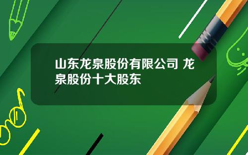 山东龙泉股份有限公司 龙泉股份十大股东
