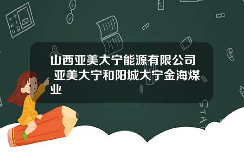 山西亚美大宁能源有限公司 亚美大宁和阳城大宁金海煤业