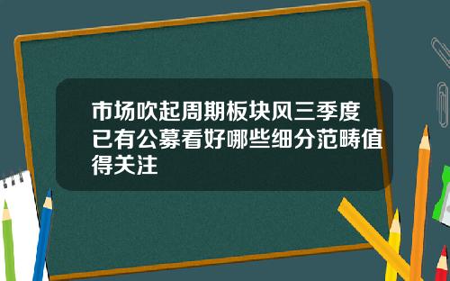 市场吹起周期板块风三季度已有公募看好哪些细分范畴值得关注