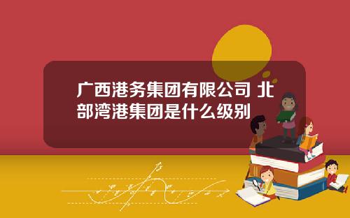 广西港务集团有限公司 北部湾港集团是什么级别