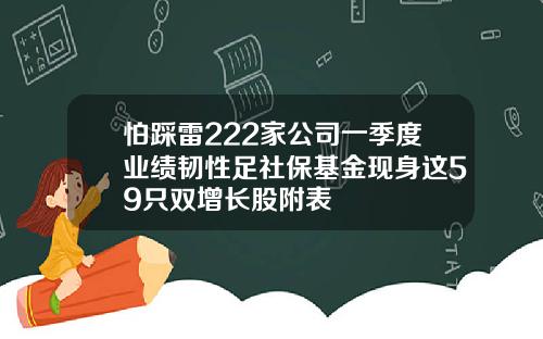 怕踩雷222家公司一季度业绩韧性足社保基金现身这59只双增长股附表