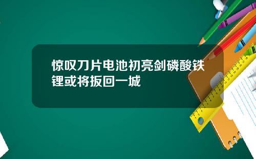 惊叹刀片电池初亮剑磷酸铁锂或将扳回一城