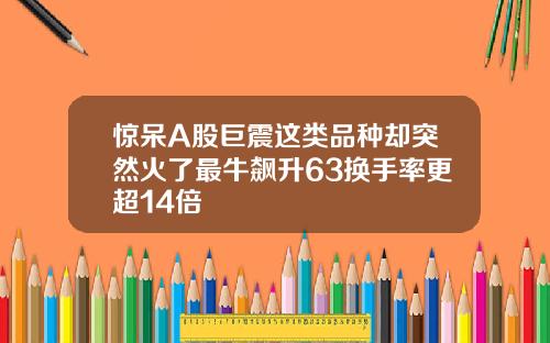 惊呆A股巨震这类品种却突然火了最牛飙升63换手率更超14倍
