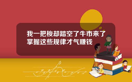 我一把梭却踏空了牛市来了掌握这些规律才气赚钱