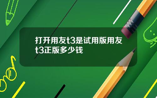 打开用友t3是试用版用友t3正版多少钱