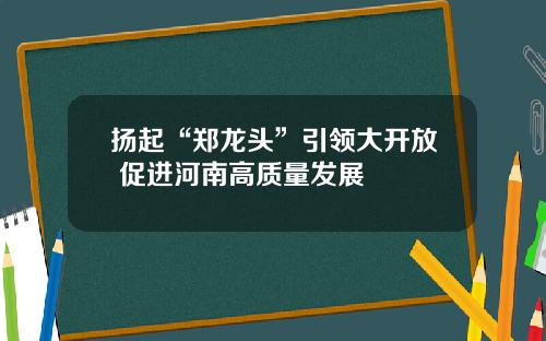 扬起“郑龙头”引领大开放 促进河南高质量发展