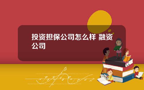 投资担保公司怎么样 融资公司