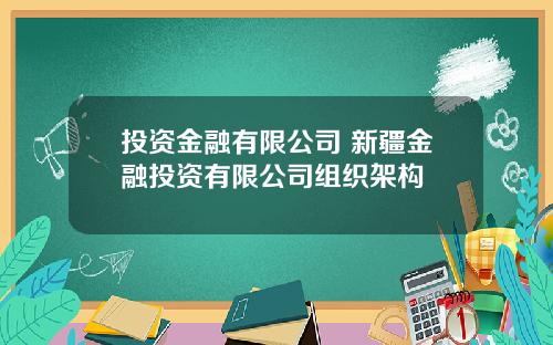 投资金融有限公司 新疆金融投资有限公司组织架构