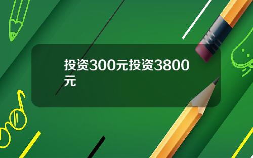 投资300元投资3800元