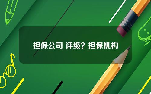 担保公司 评级?担保机构