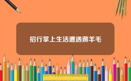 招行掌上生活遭遇薅羊毛