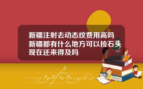 新疆注射去动态纹费用高吗新疆都有什么地方可以捡石头现在还来得及吗